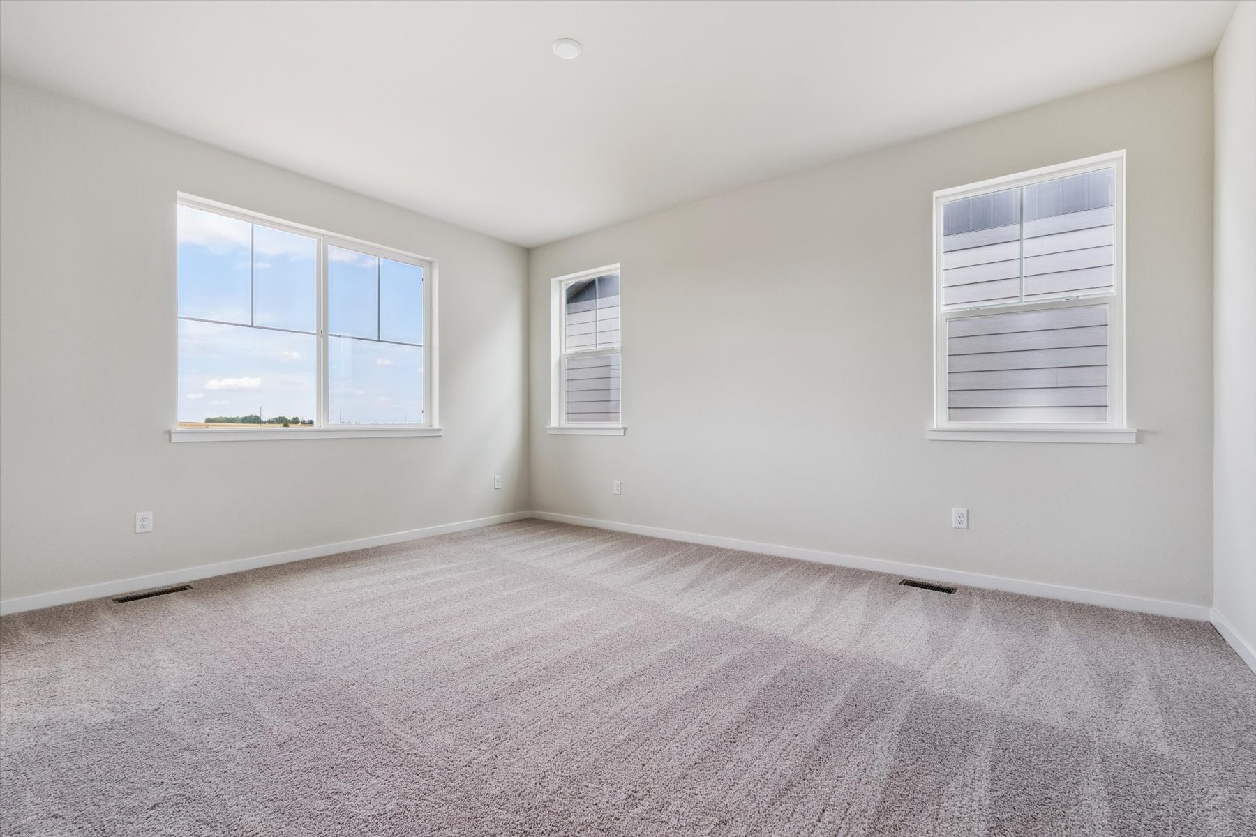 A room with a carpet and windows.