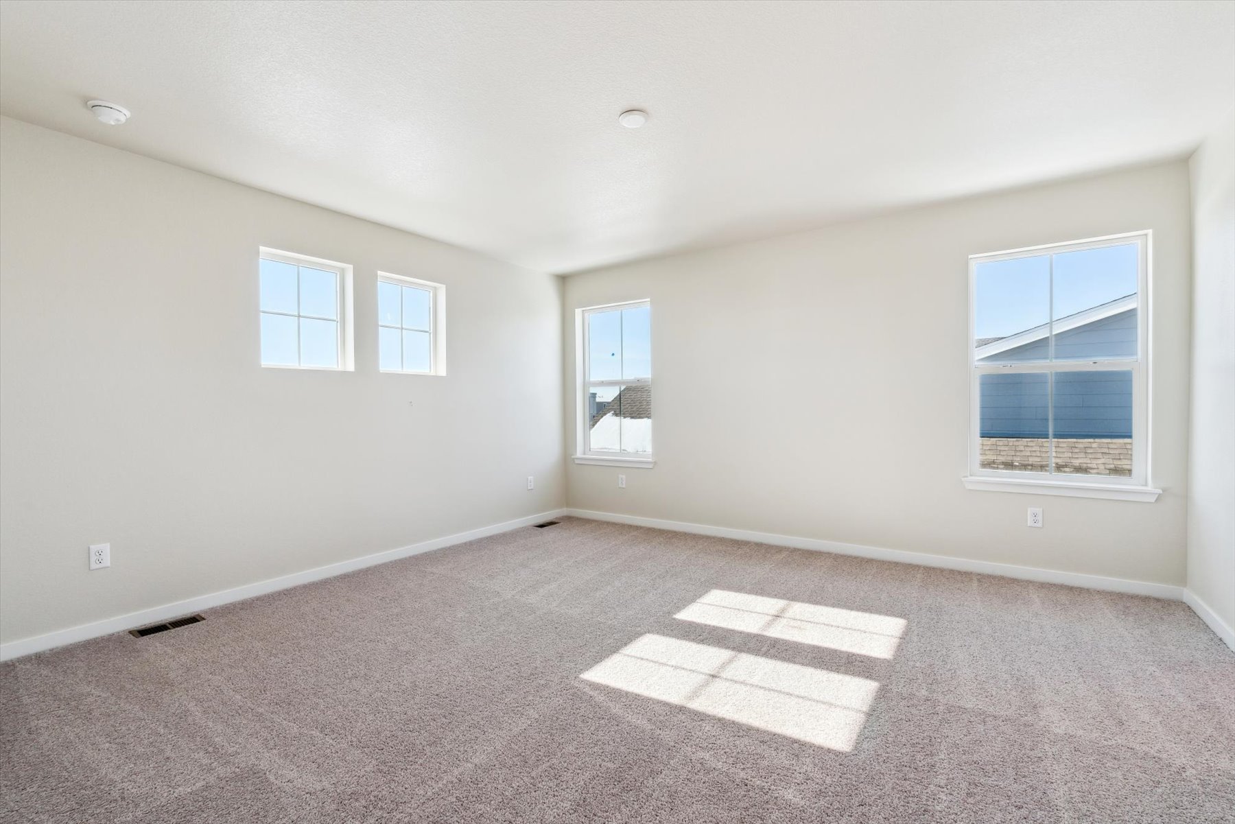 A room with a rug and windows.