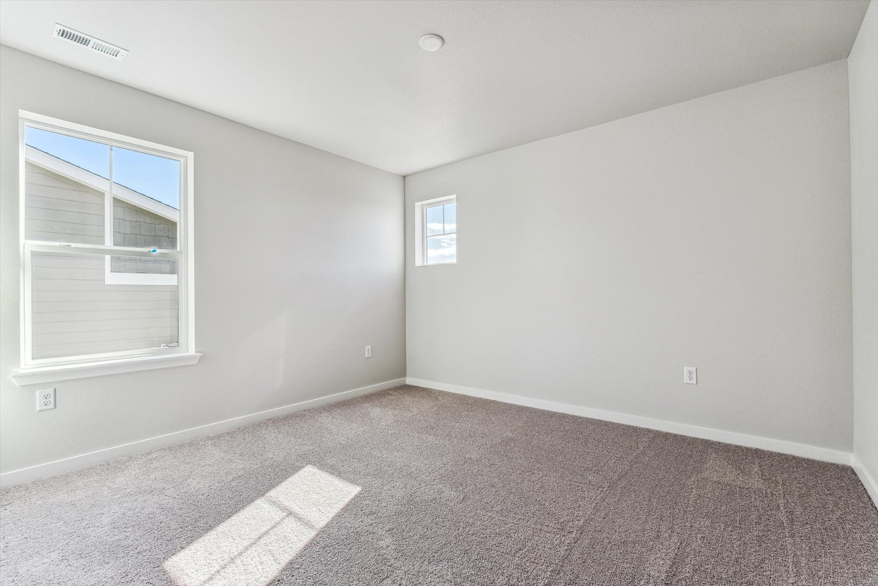 A room with a carpet and windows.