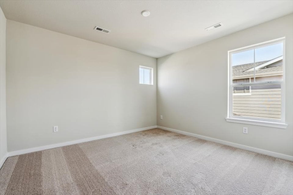 A room with a carpet and windows.