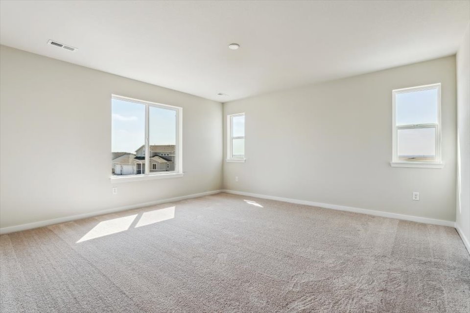 A room with a carpet and windows.