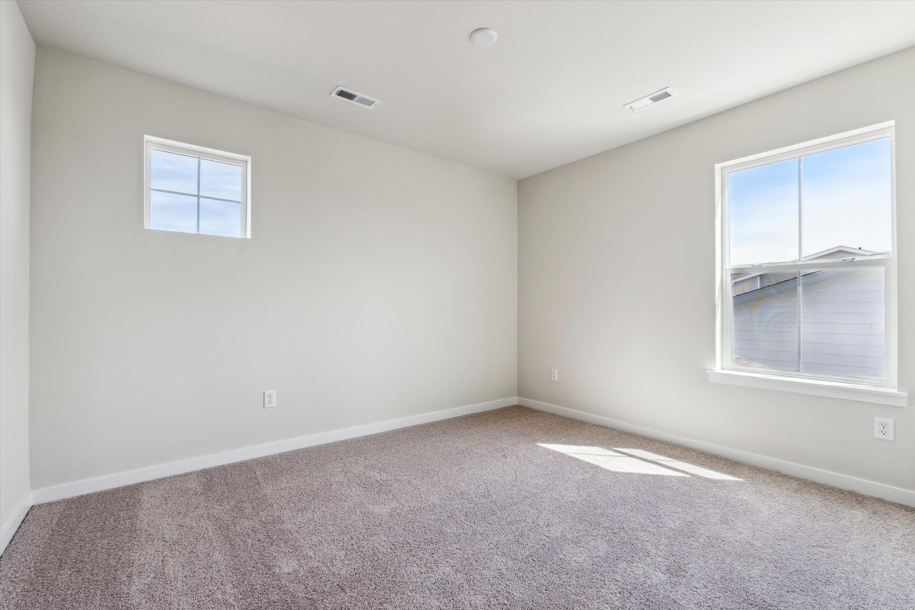 A room with a carpet and windows.