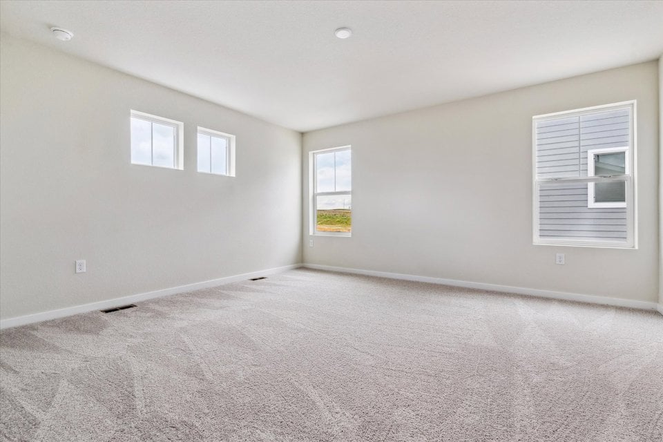 A room with a carpet and windows.