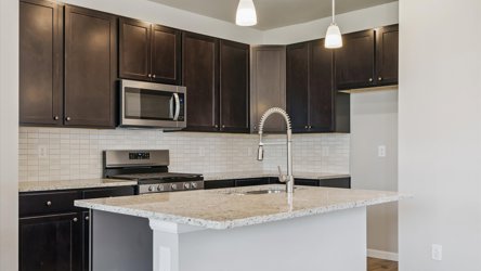 A kitchen with black cabinets.
