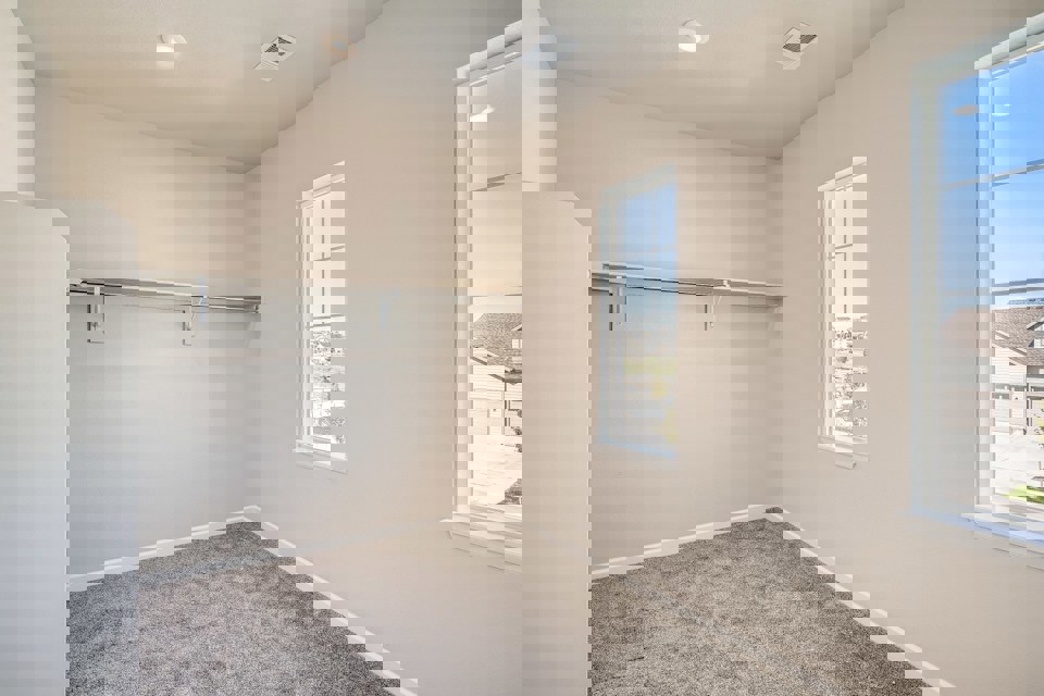 A room with windows and a carpet.