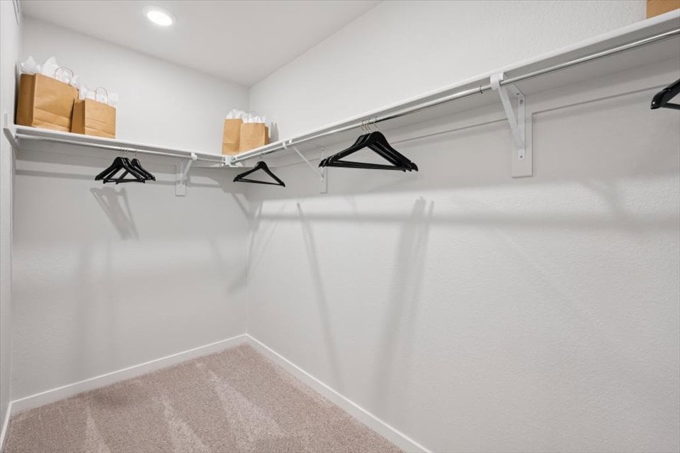 A white shower with a black towel from the ceiling.