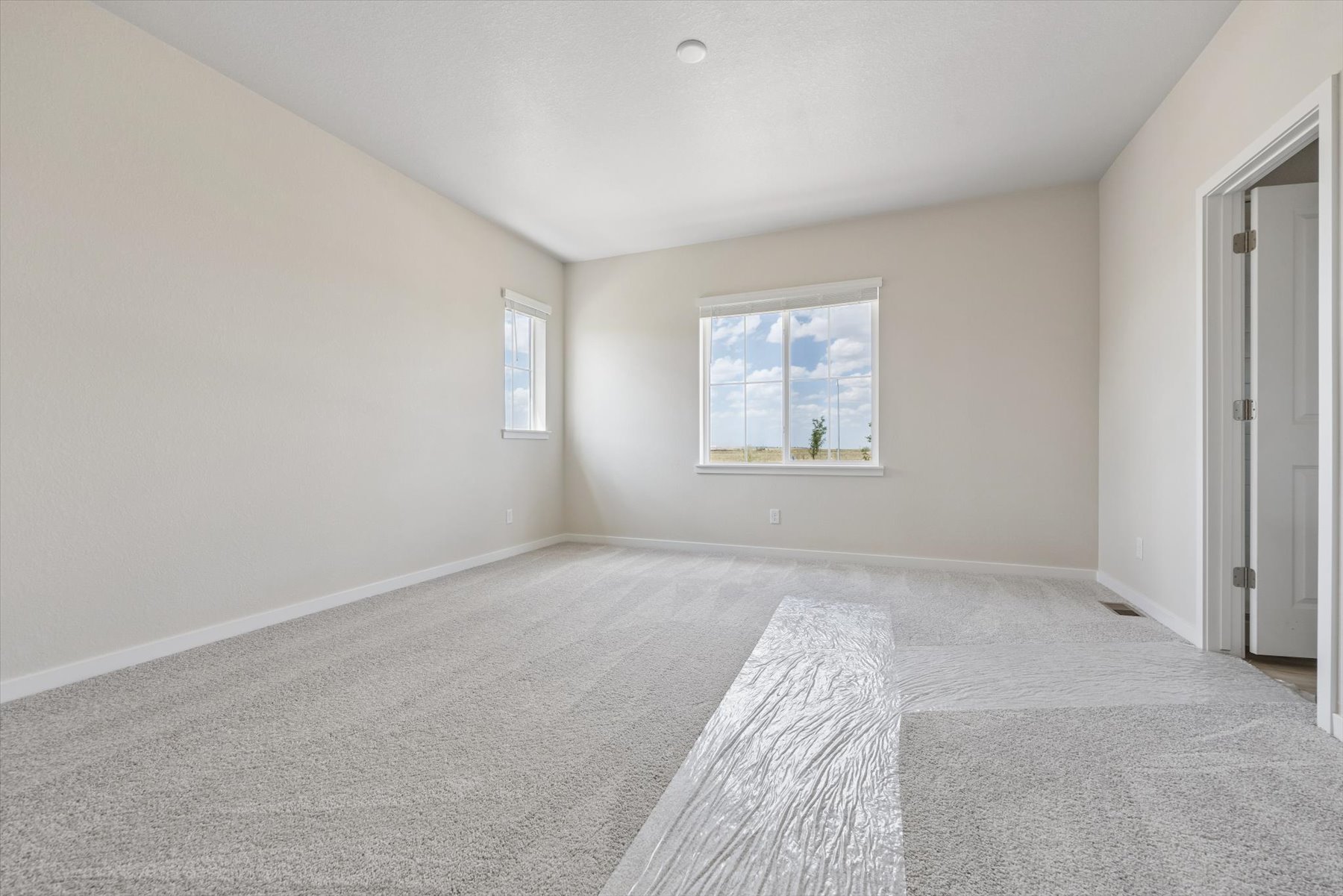 A room with a rug and a window.