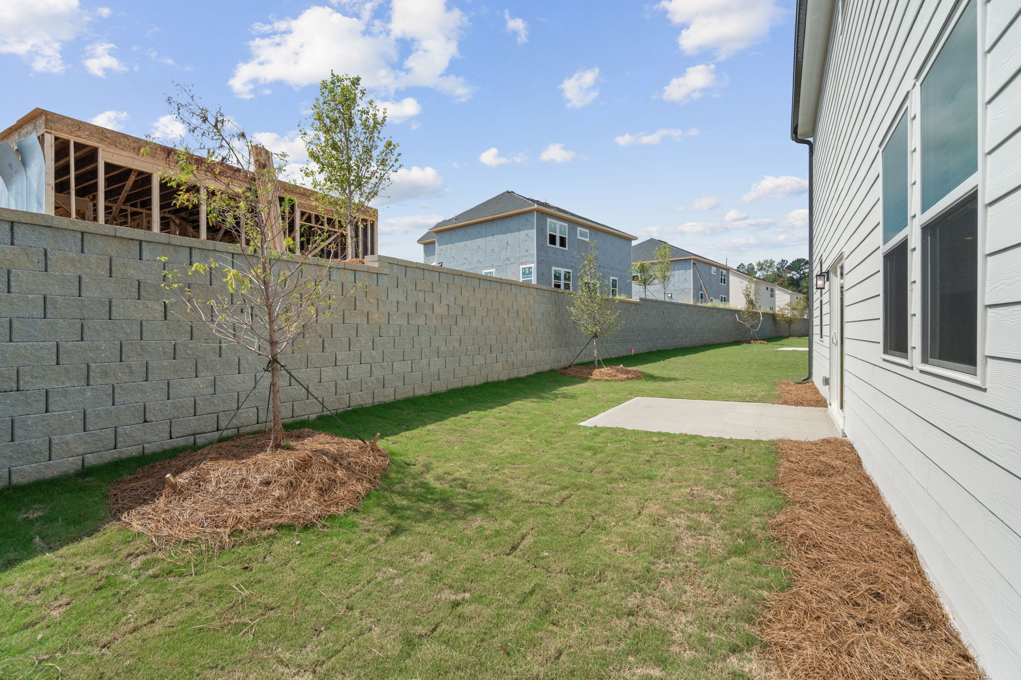 A yard with a tree and a building in the background.