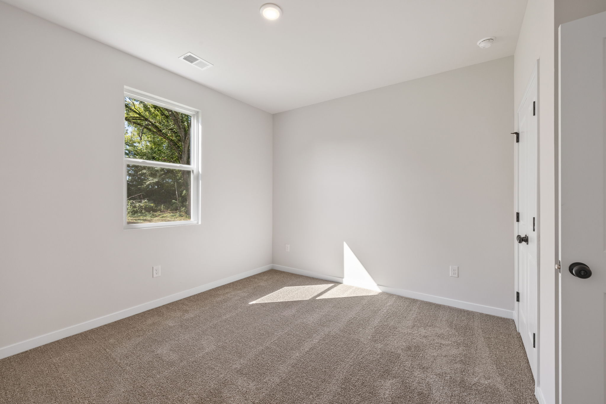 A room with a carpet and a window.