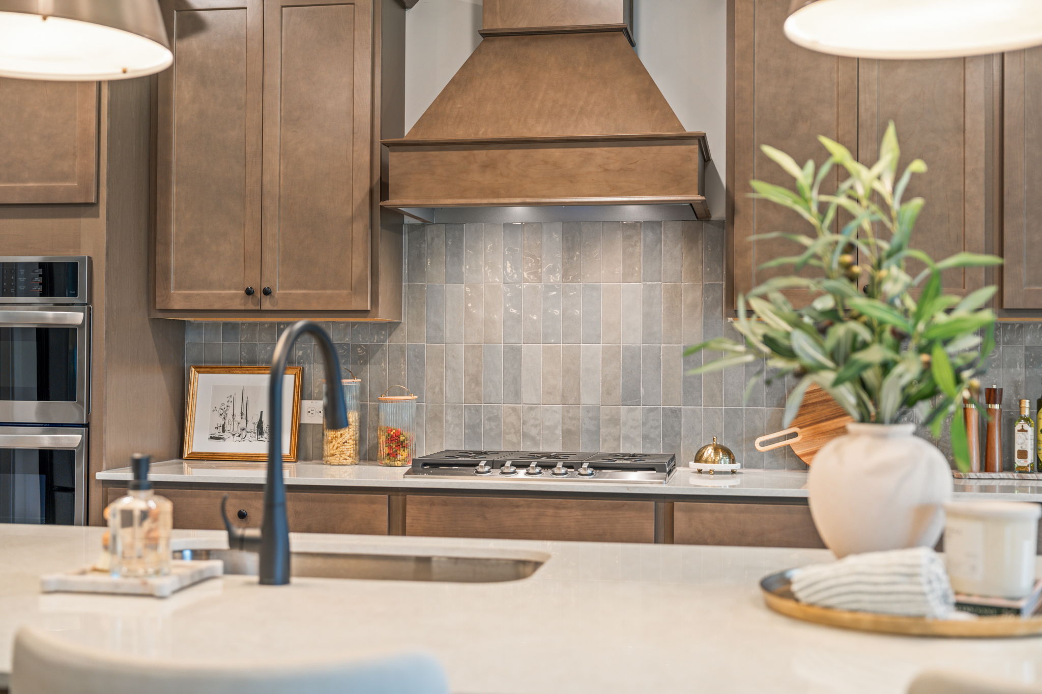 A kitchen with a plant on the counter.