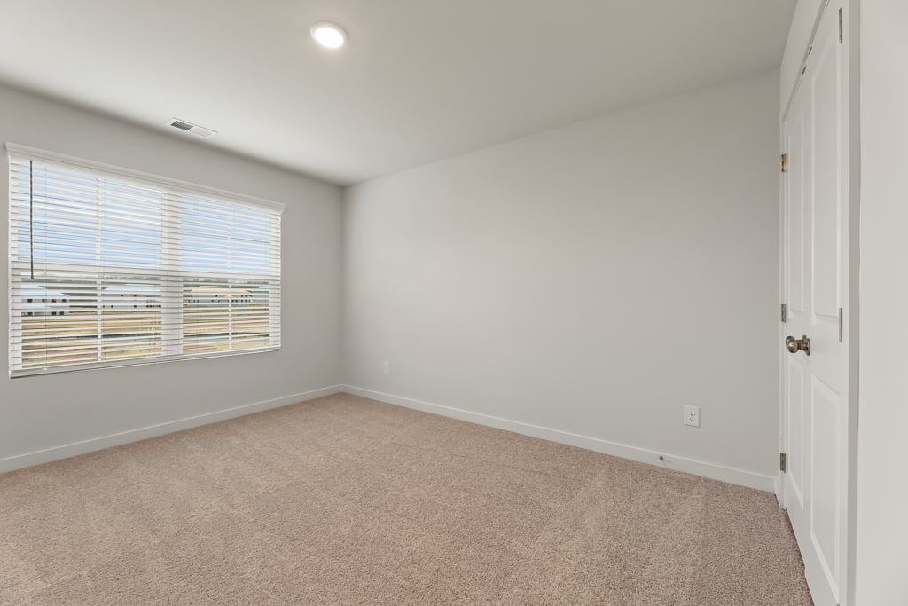 A room with a carpet and windows.