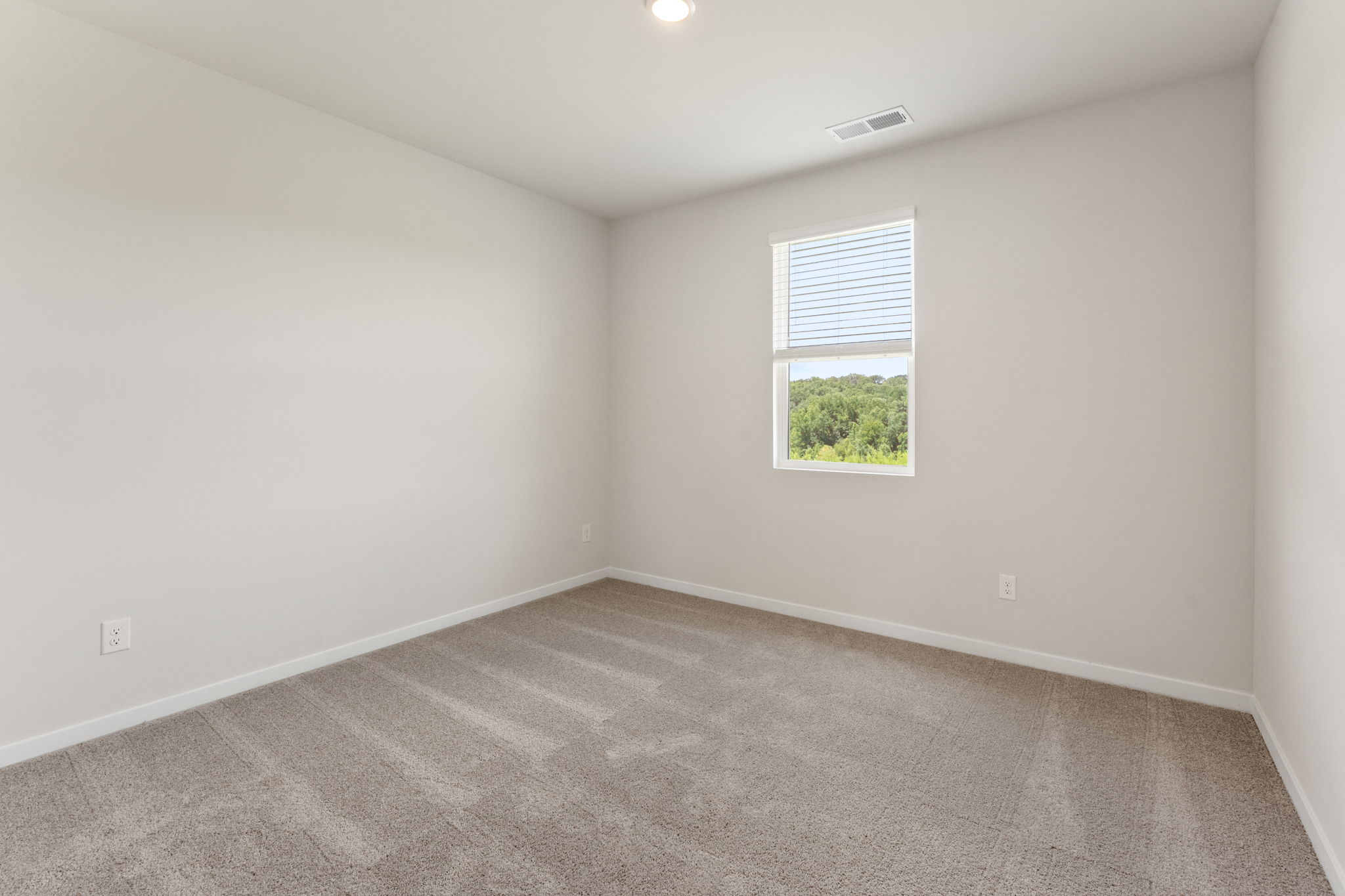 A room with a window and a tree.