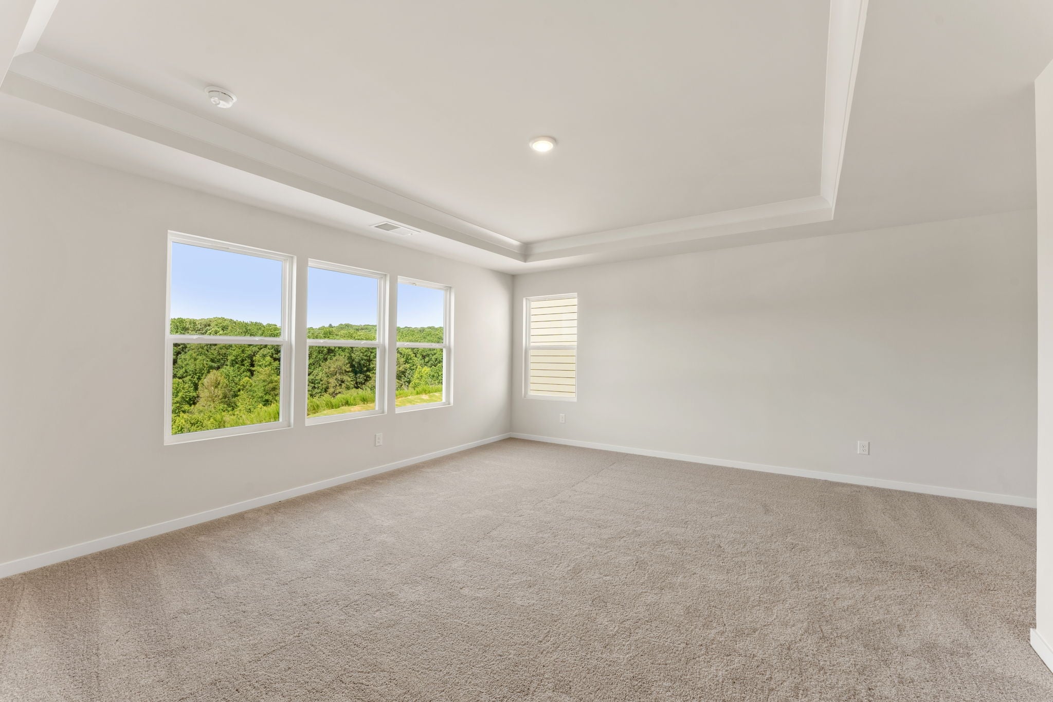 A room with windows and carpet.