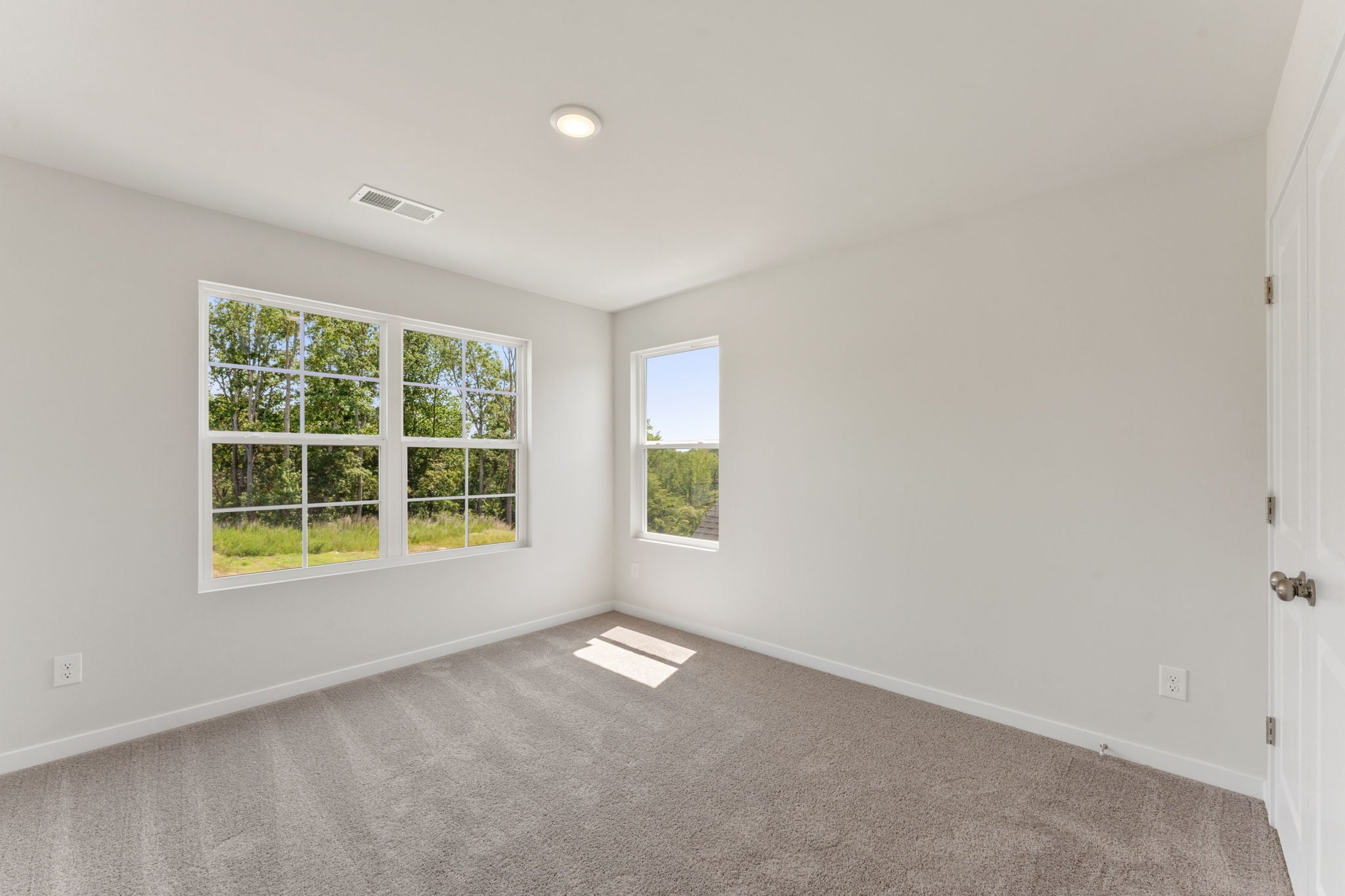 A room with windows and a rug.