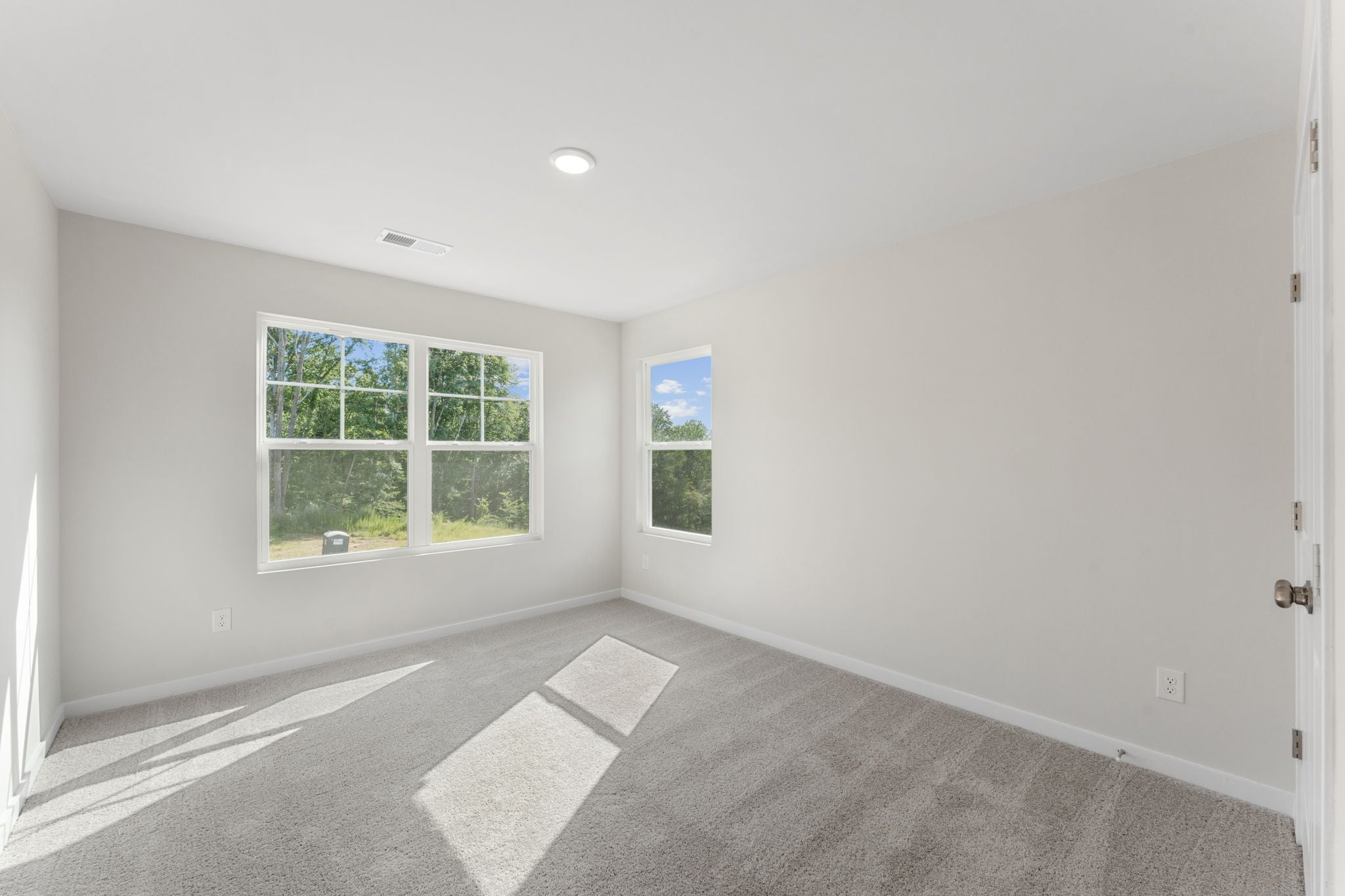 A room with windows and a rug.