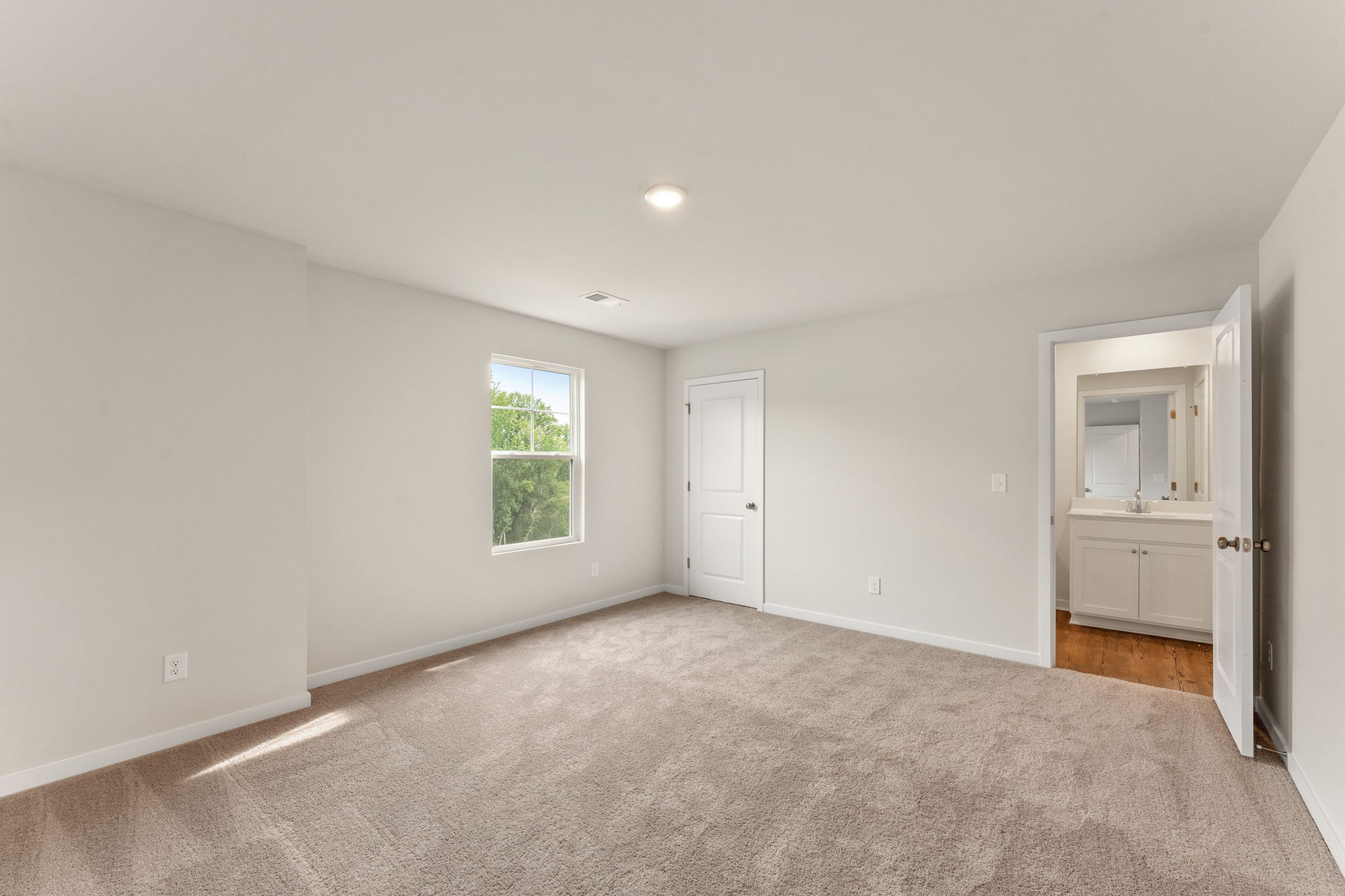 A room with a carpet and a window.