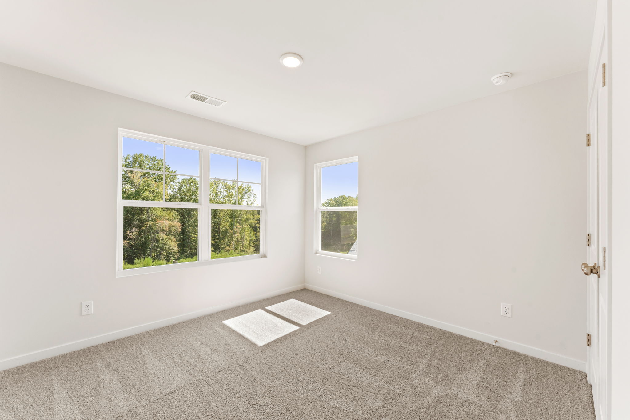 A room with a rug and windows.