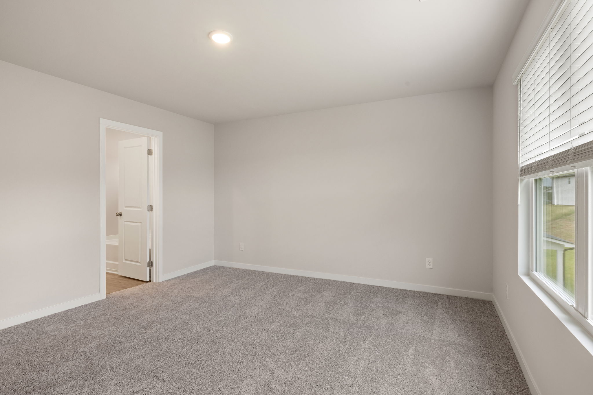 A room with a carpet and windows.