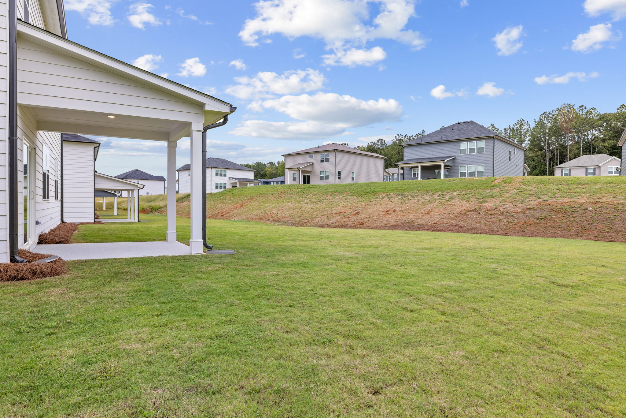A green lawn with houses in the background.