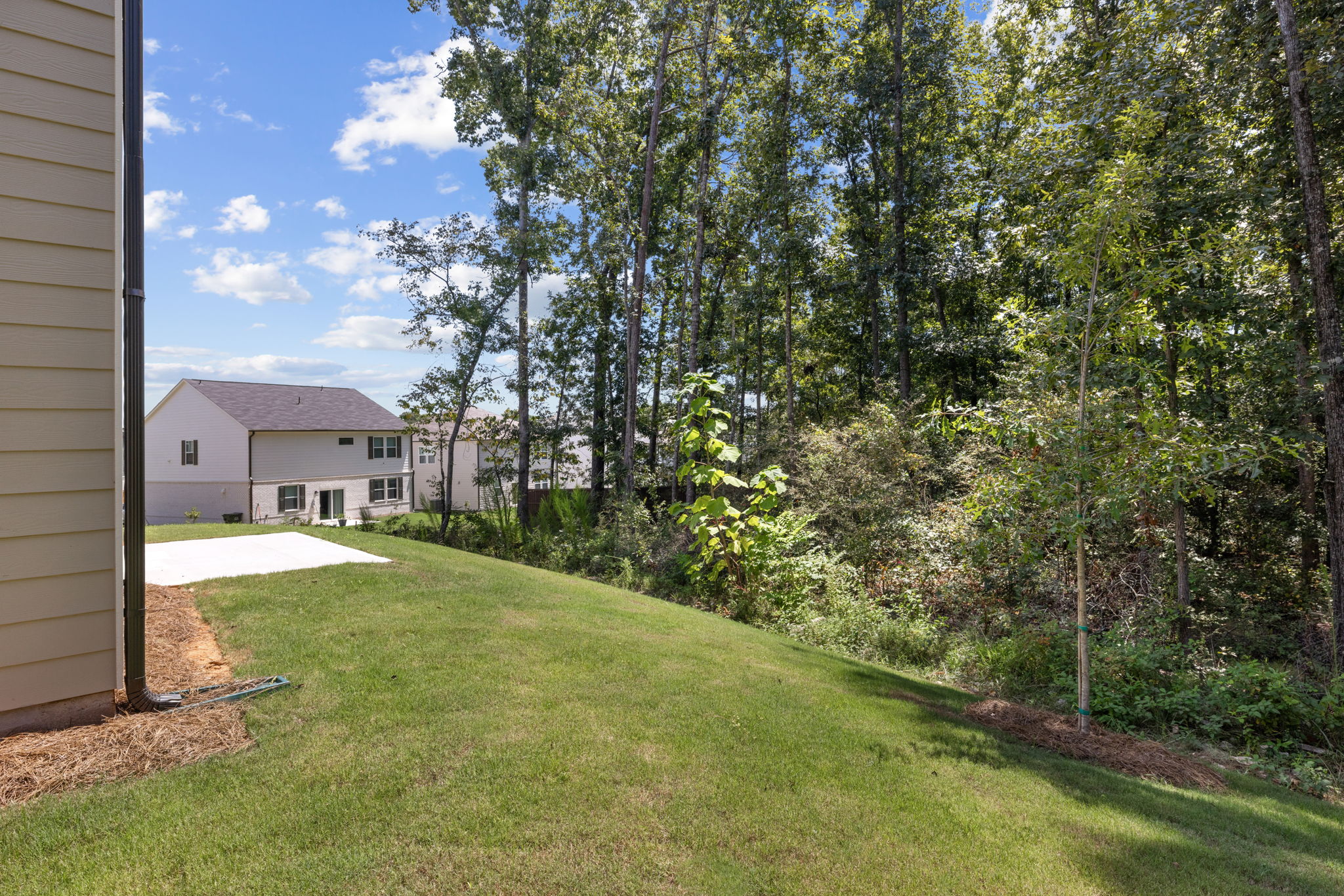 A house with trees and grass.