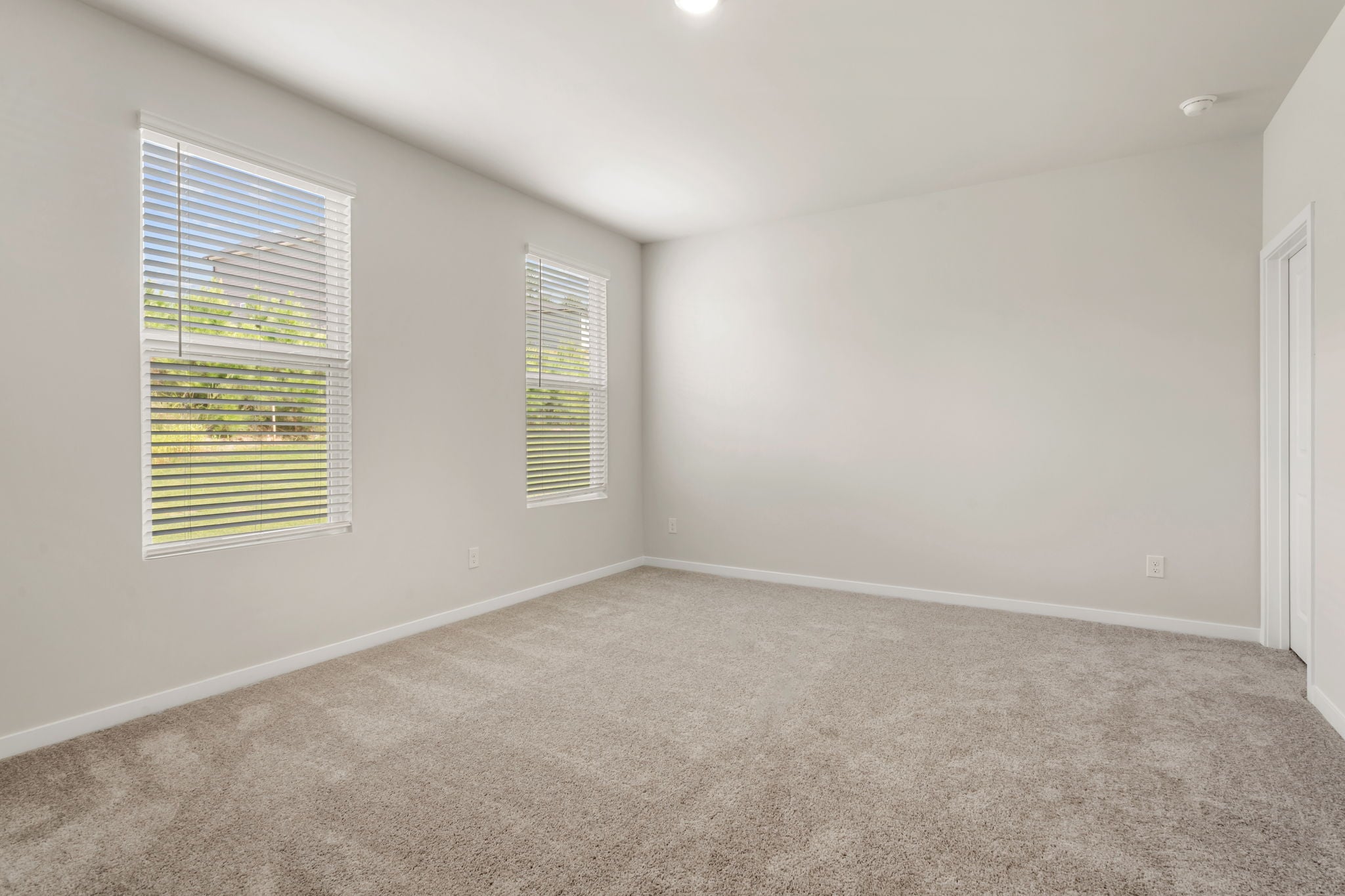 A room with a carpet and windows.