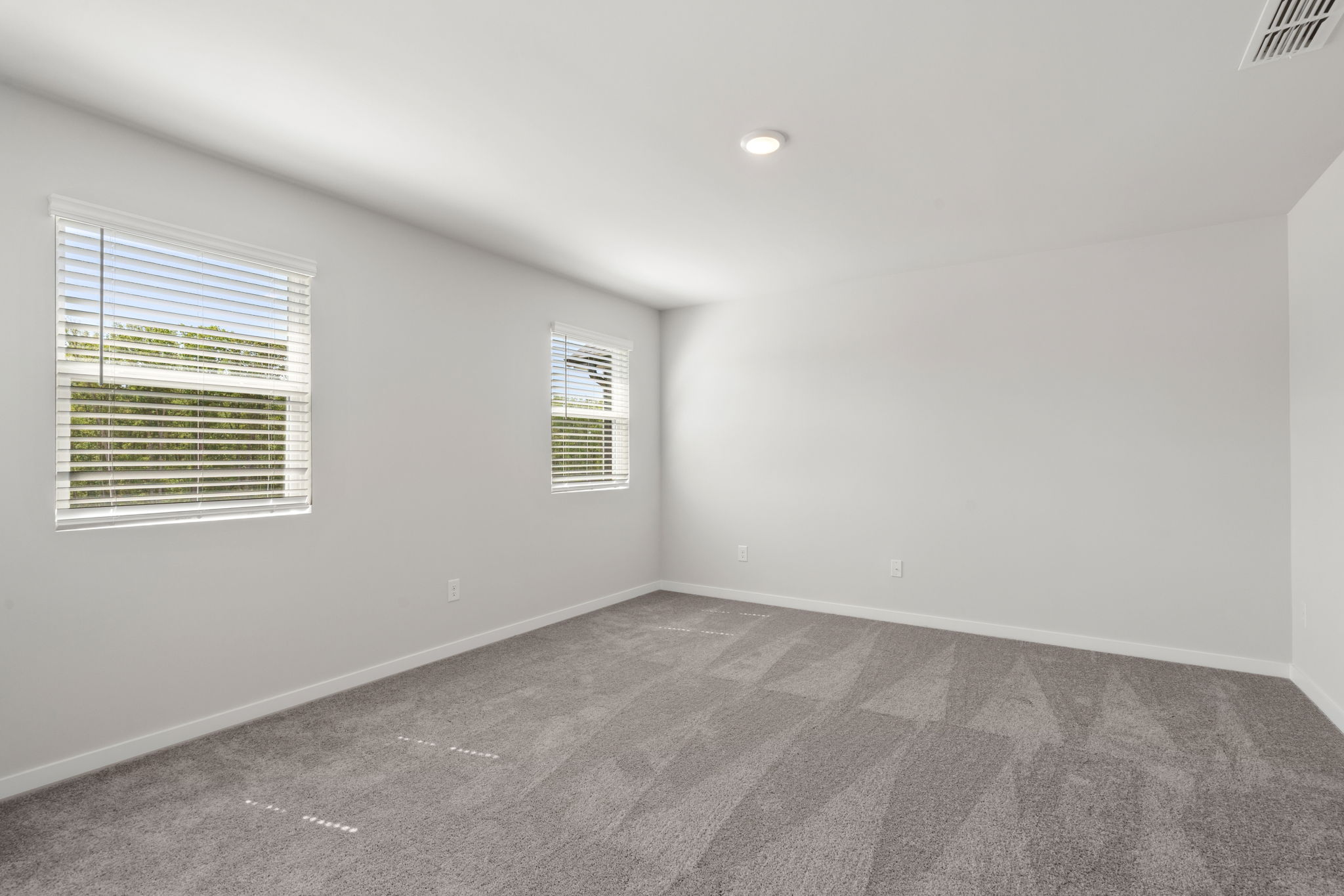 A room with a carpet and windows.