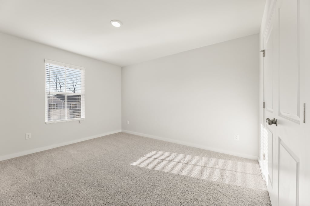 A room with a rug and a rug.
