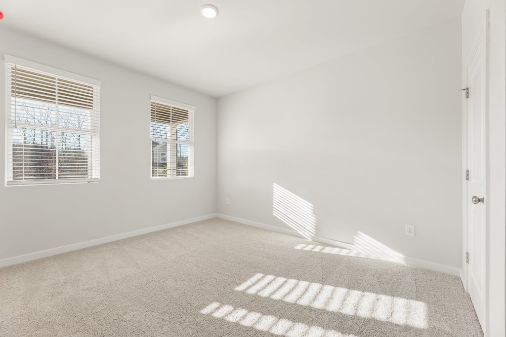 A room with a rug and a window.