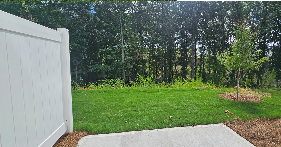 A large green lawn with trees.