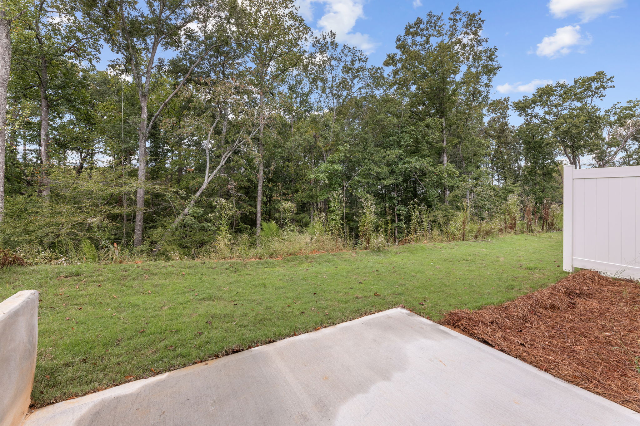 A grassy area with trees in the back.