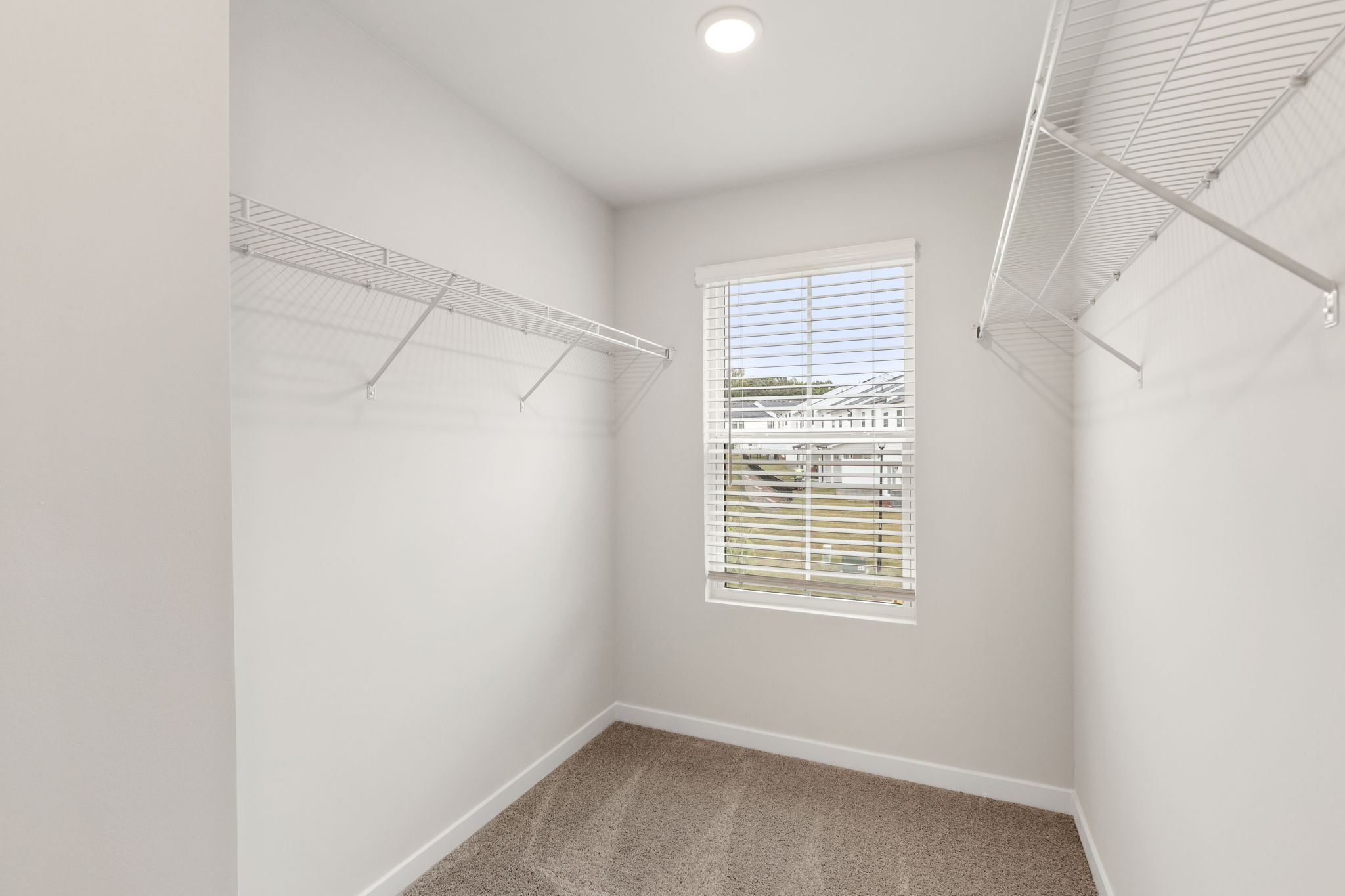 A room with a window and a carpet.