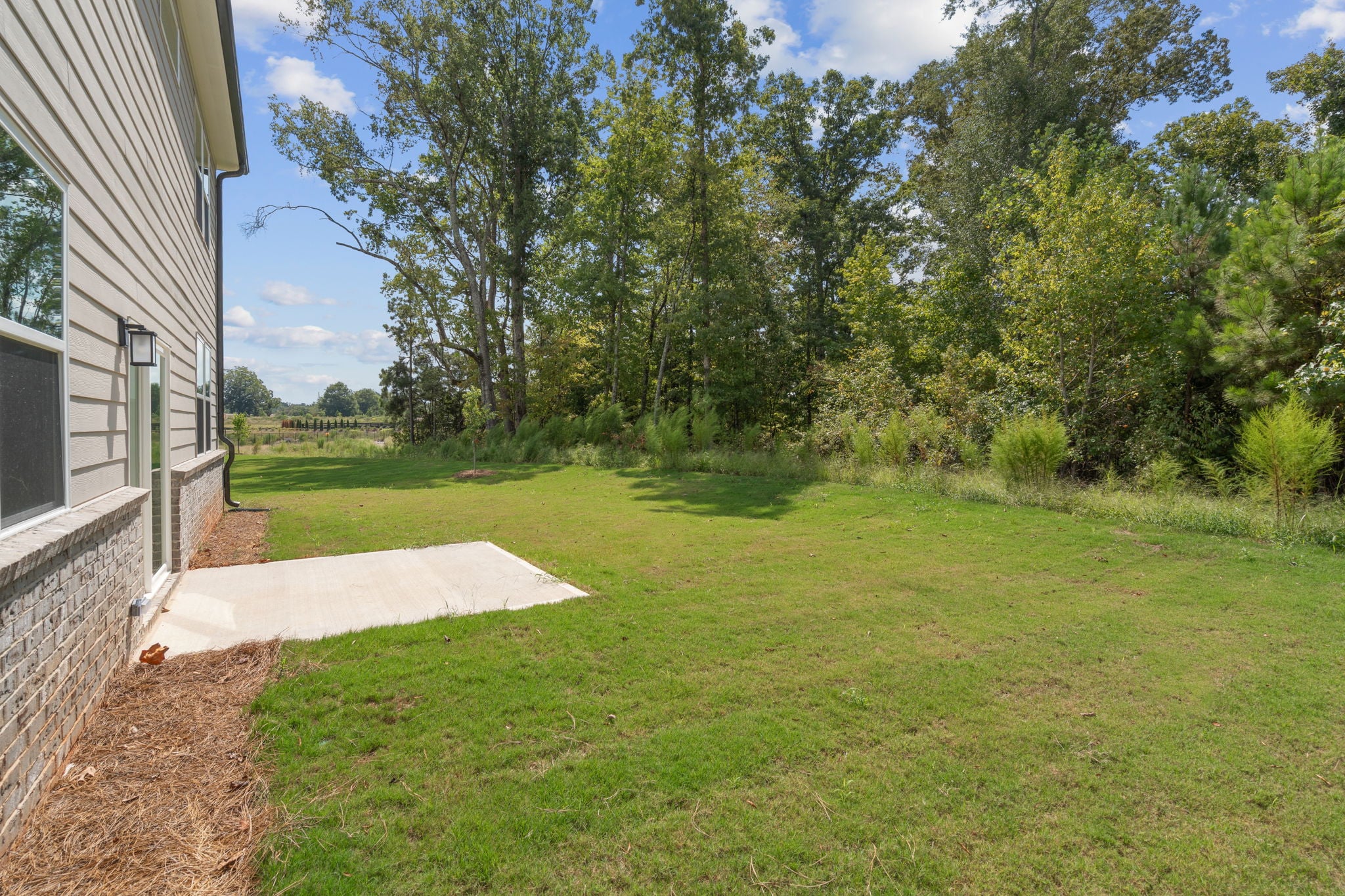A yard with a house and trees.