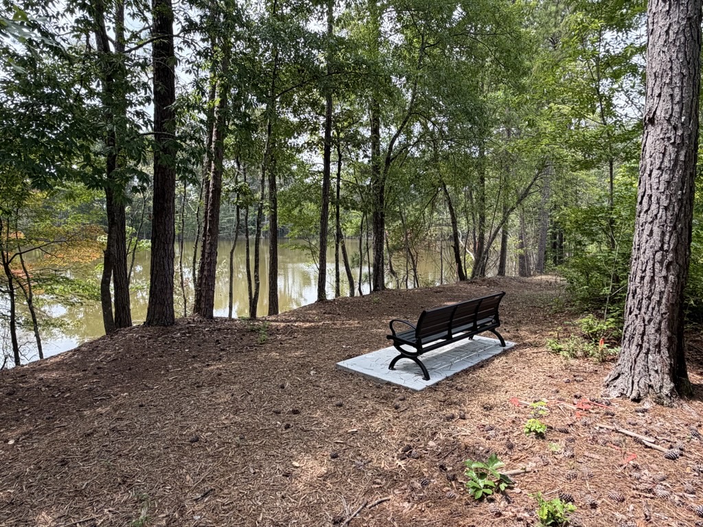 A bench sits in the middle of a forest.