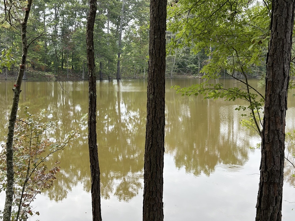 A body of water surrounded by trees.