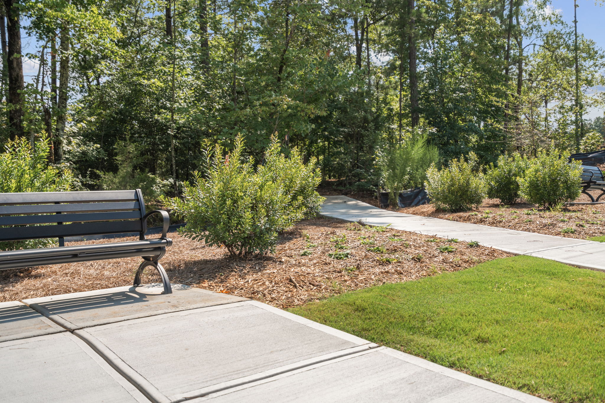 A bench in a park.