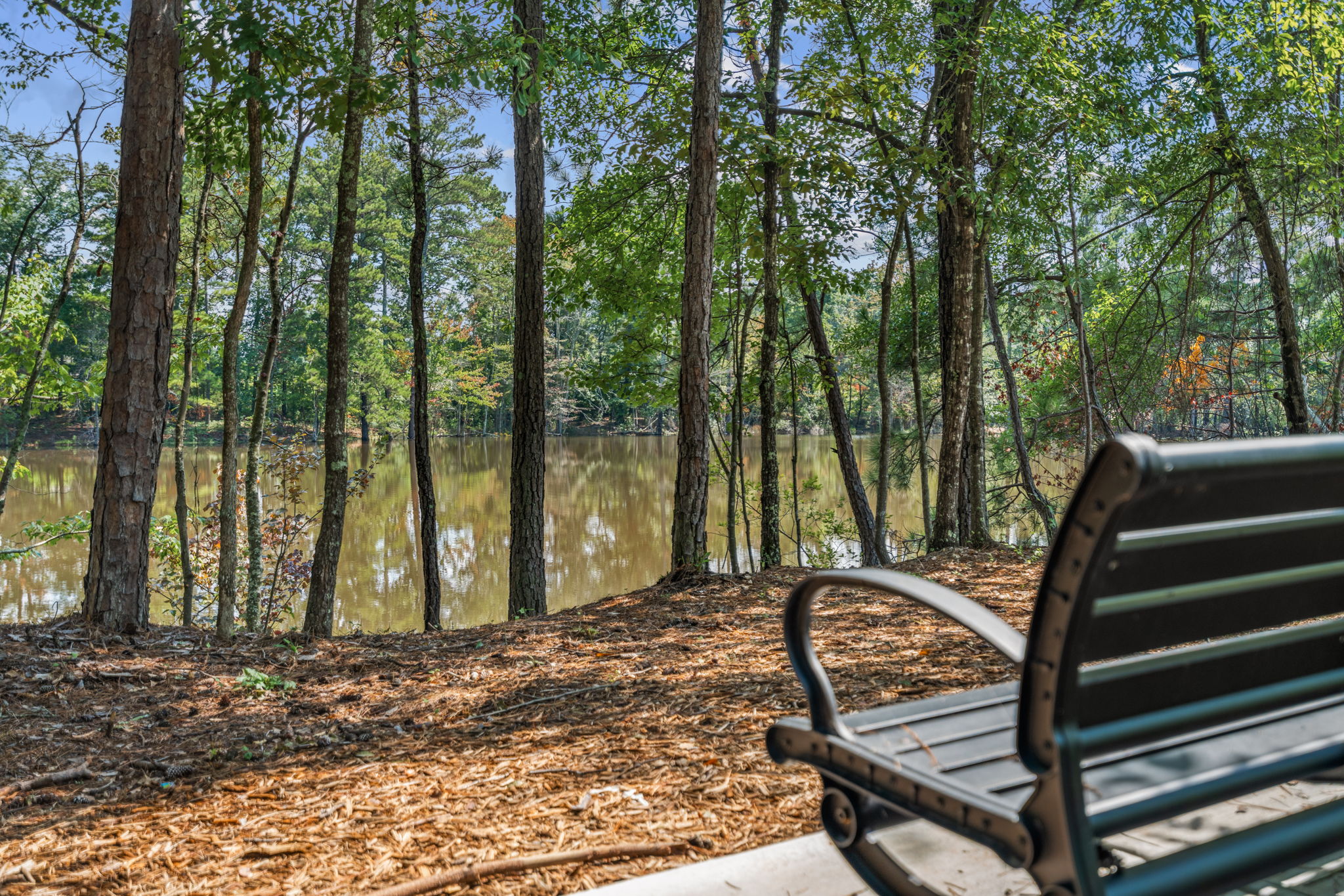 A bench sits by a lake.