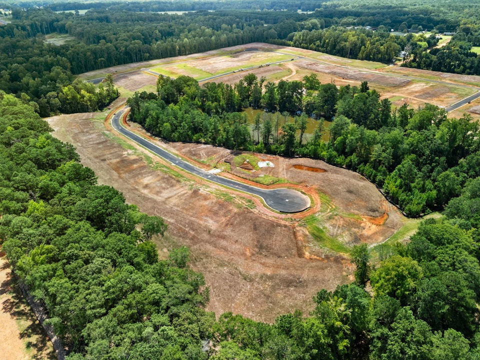 A river running through a forest.