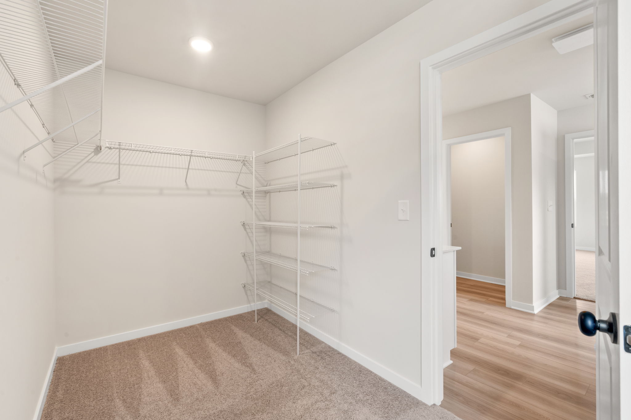 A room with white walls.