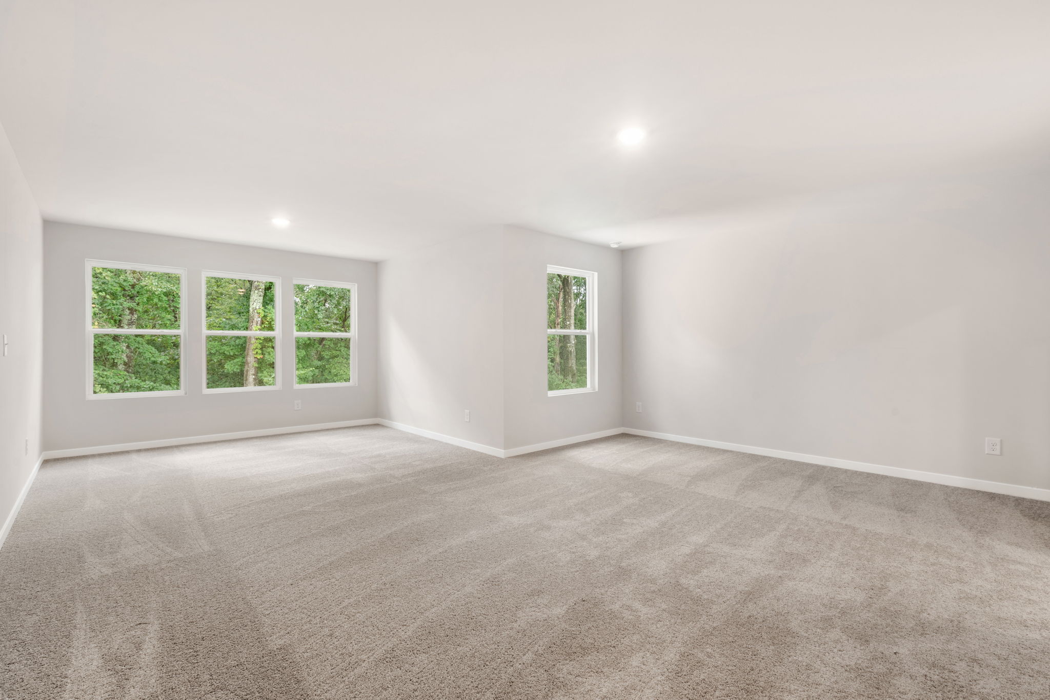 A room with a carpet and windows.