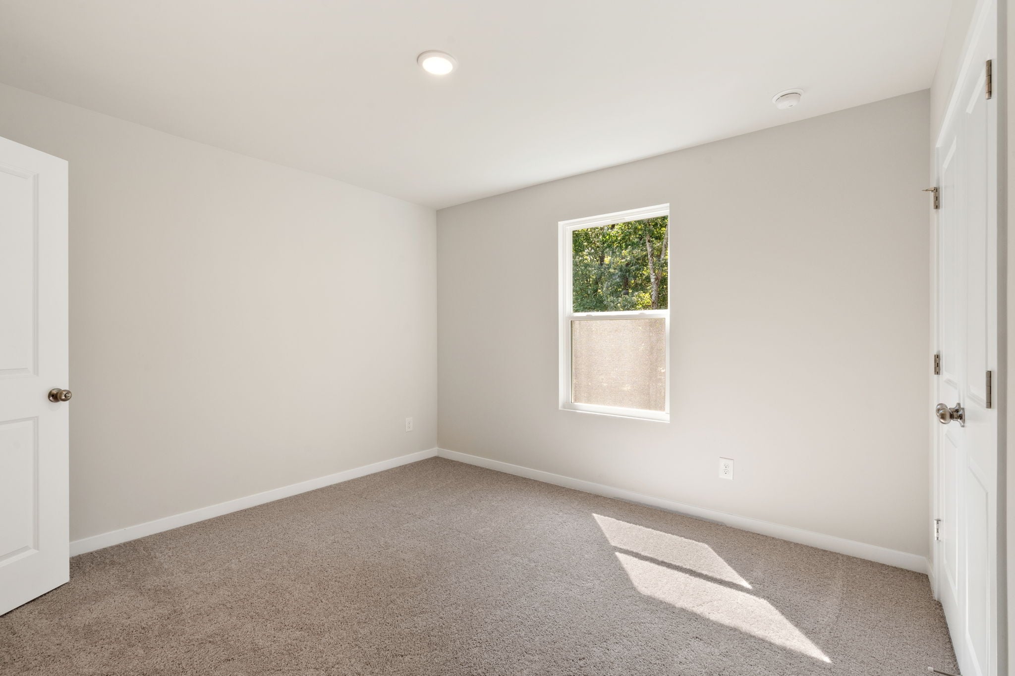 A room with a window and a rug.