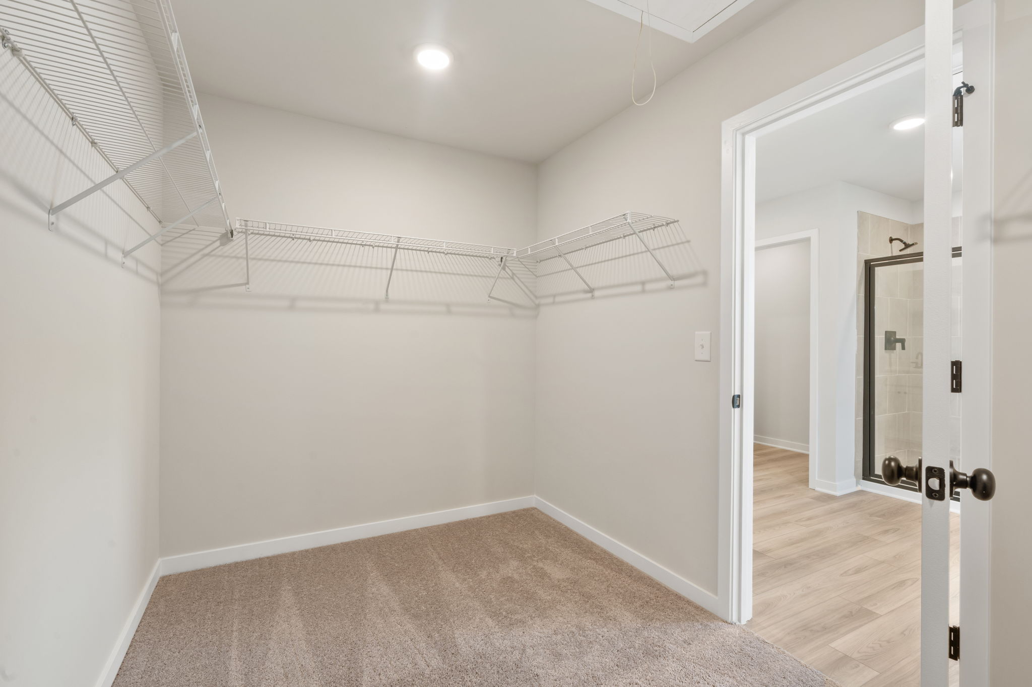 A room with a rug and a door.
