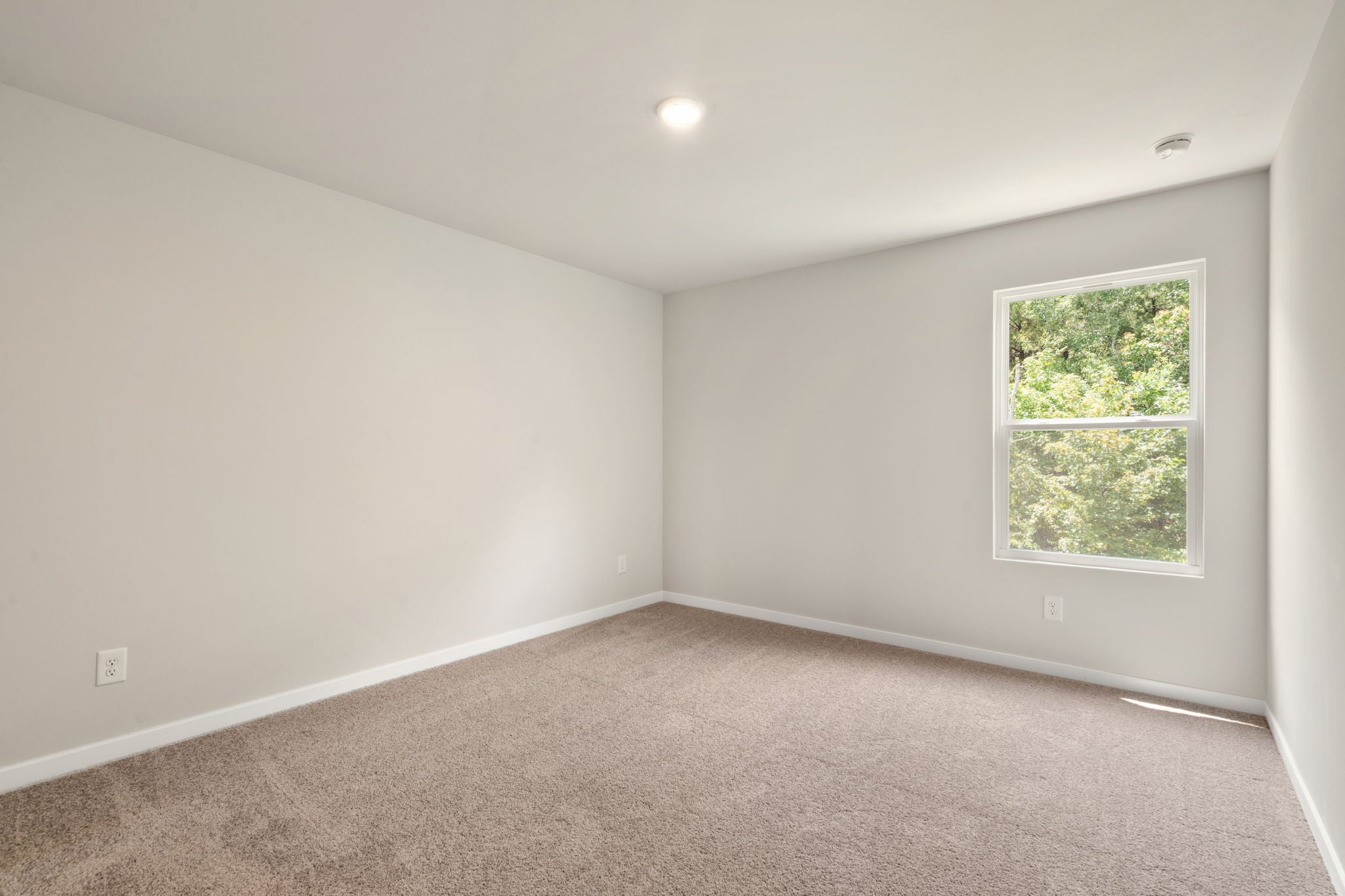 A room with a window and a tree.
