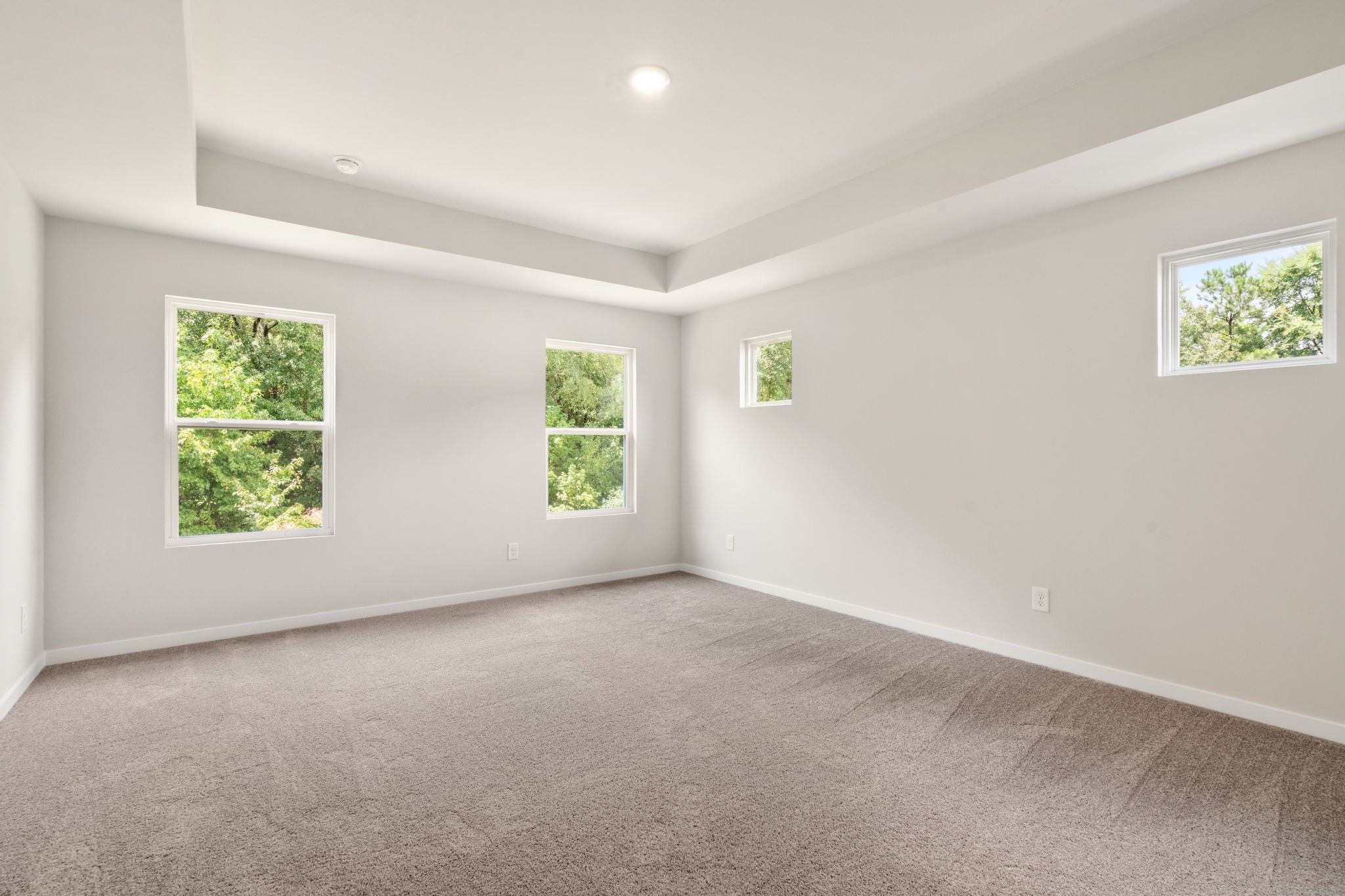 A room with windows and carpet.