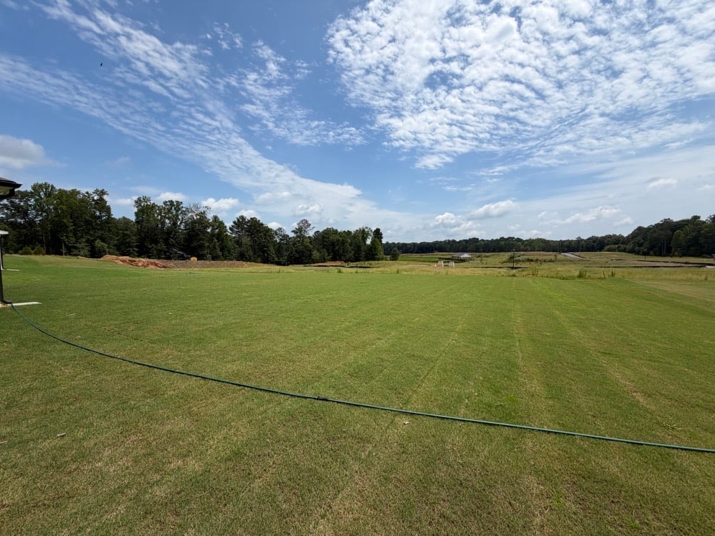 A large grassy field with trees in the background.