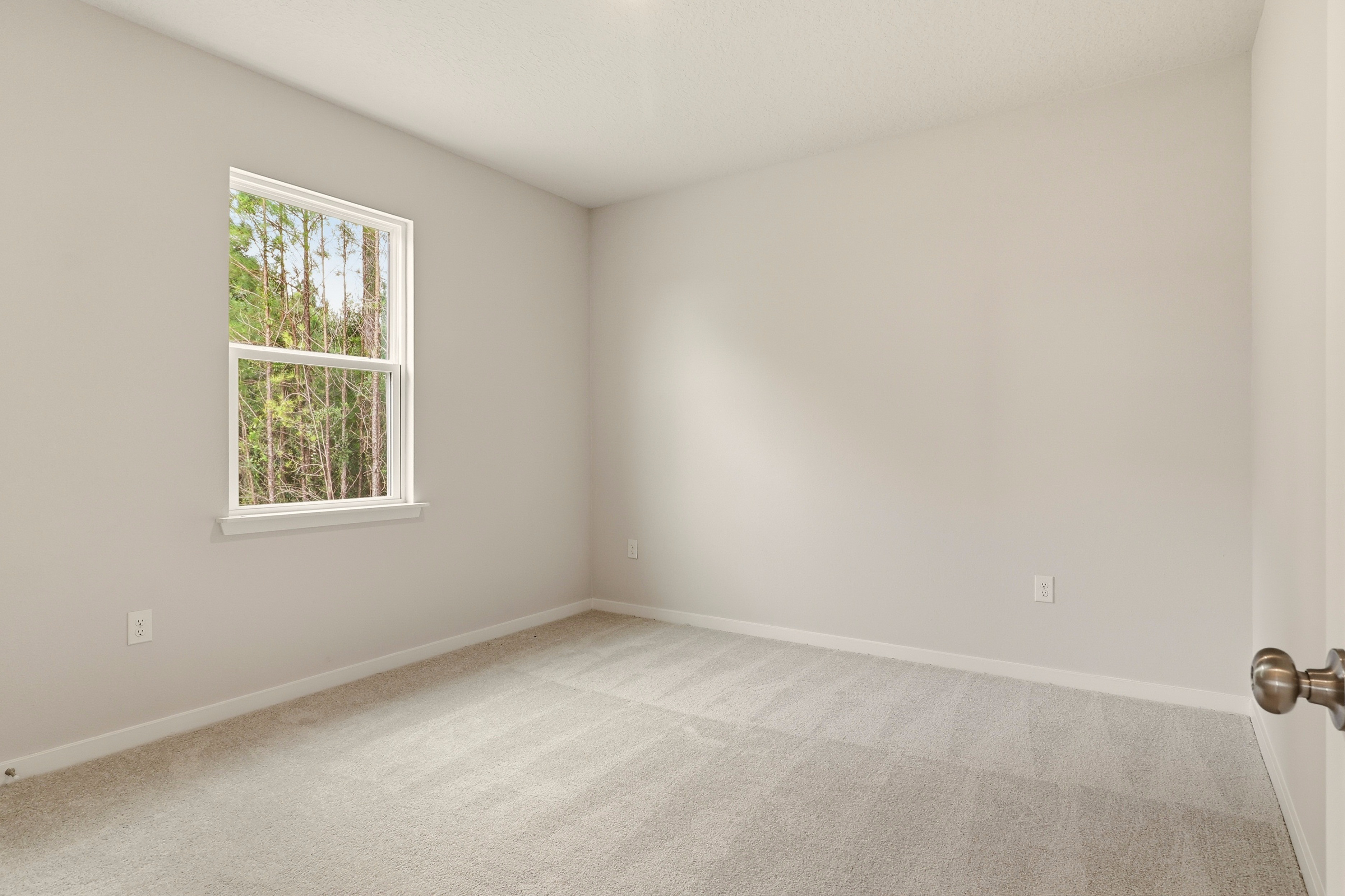 A room with a window and a carpet.