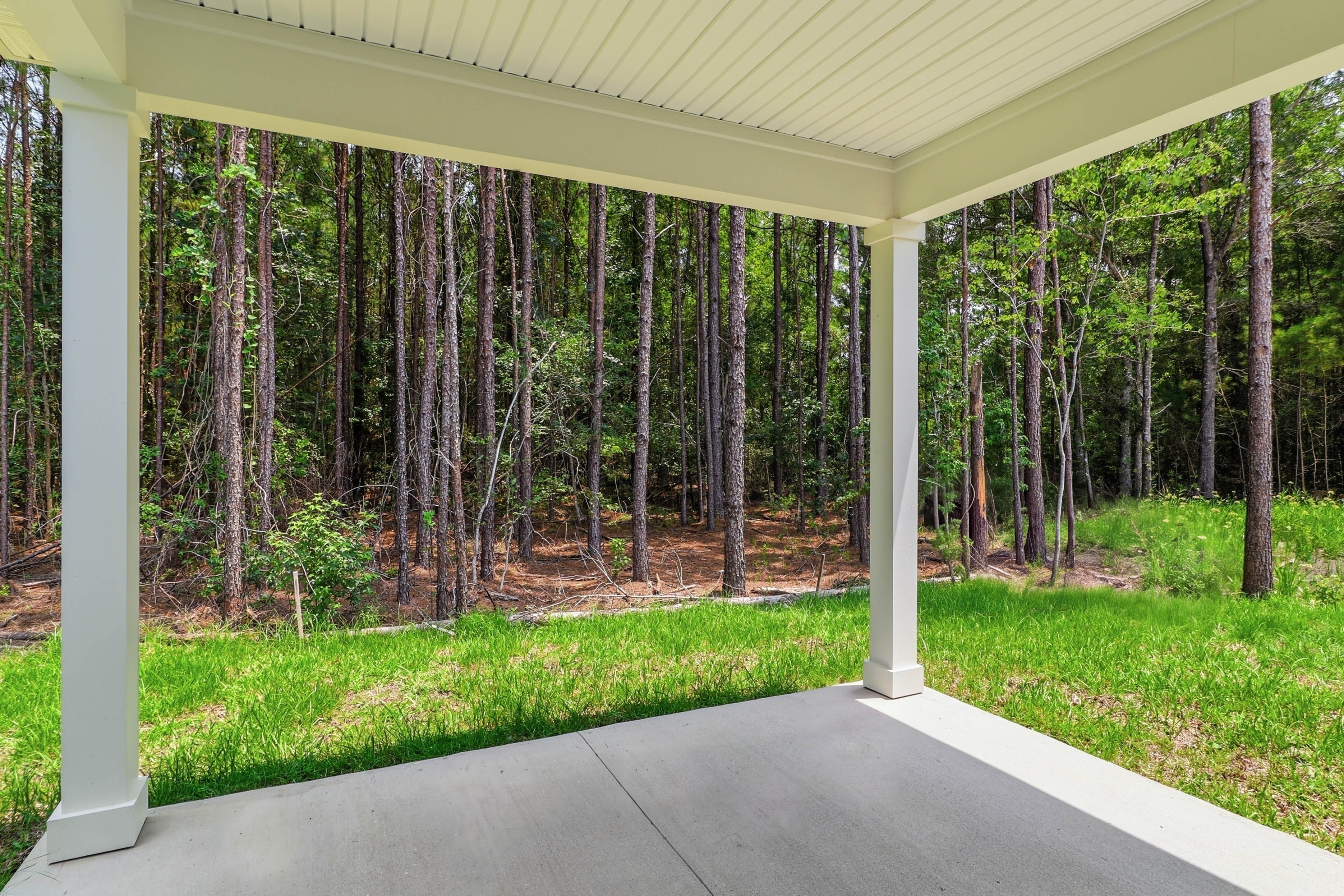 A covered walkway with trees.