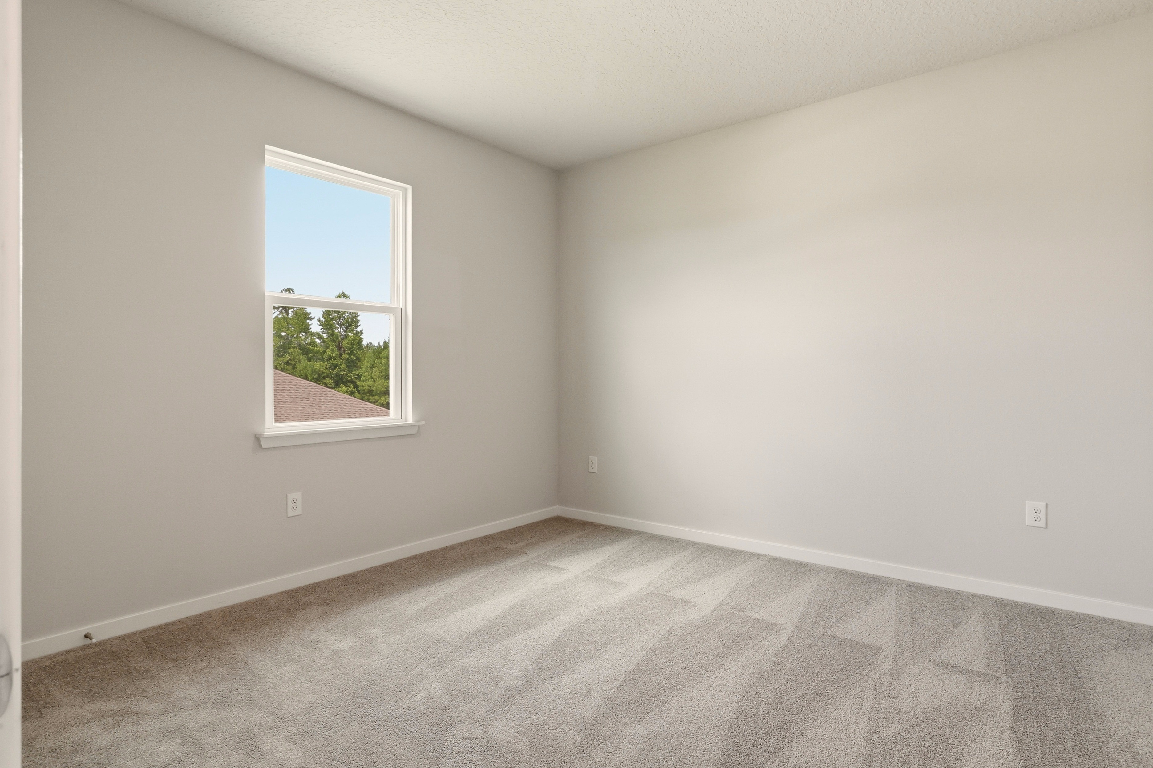 A room with a window and a carpet.