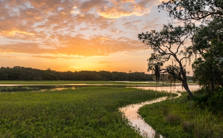 Pecan Park coming soon to Jacksonville by Century Communities