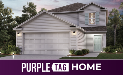 Purple Tag Home Lot 176 at The Landings at Pecan Park