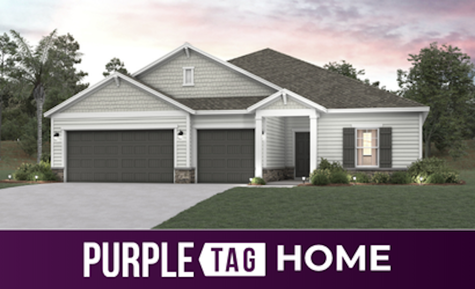 Purple Tag Home Lot 192 at Reserve East